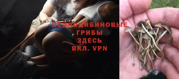 мяу мяу мука Михайловск