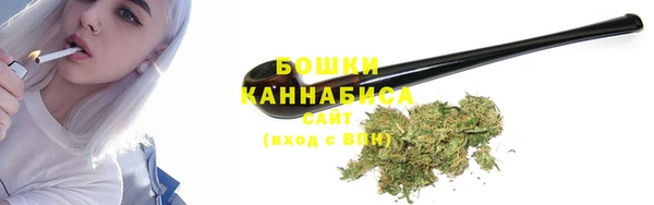 индика Надым