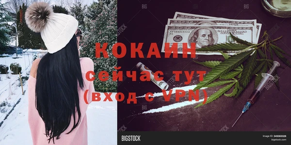 прущие крисы Михайлов
