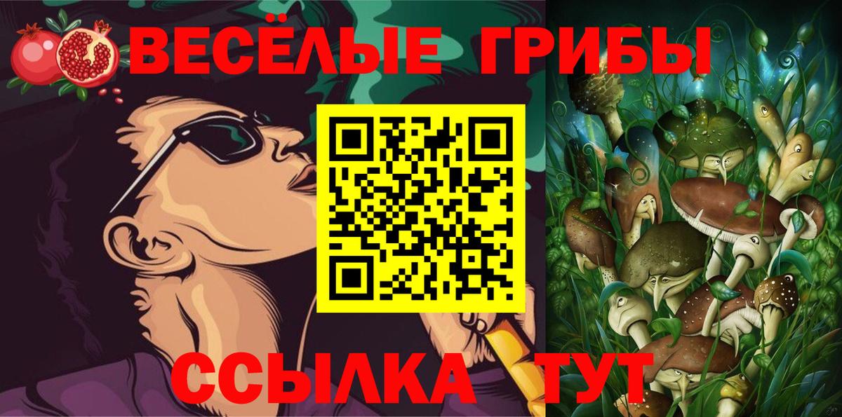Галлюциногенные грибы прущие грибы  Галлюциногенные грибы GOLDEN TEACHER  сколько стоит  Избербаш 