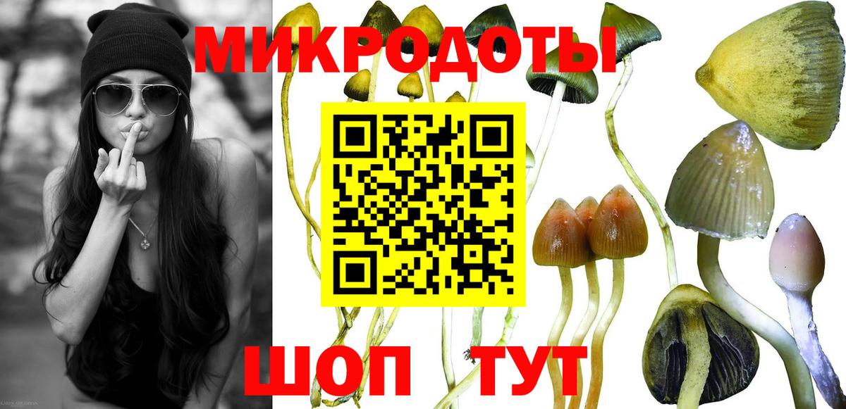 Избербаш  Галлюциногенные грибы Psilocybe  Вход с VPN 